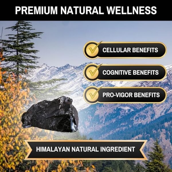 Stamen Shilajit Sugar-Free Gummies – 30,000mg, 60 Ct - Image 4